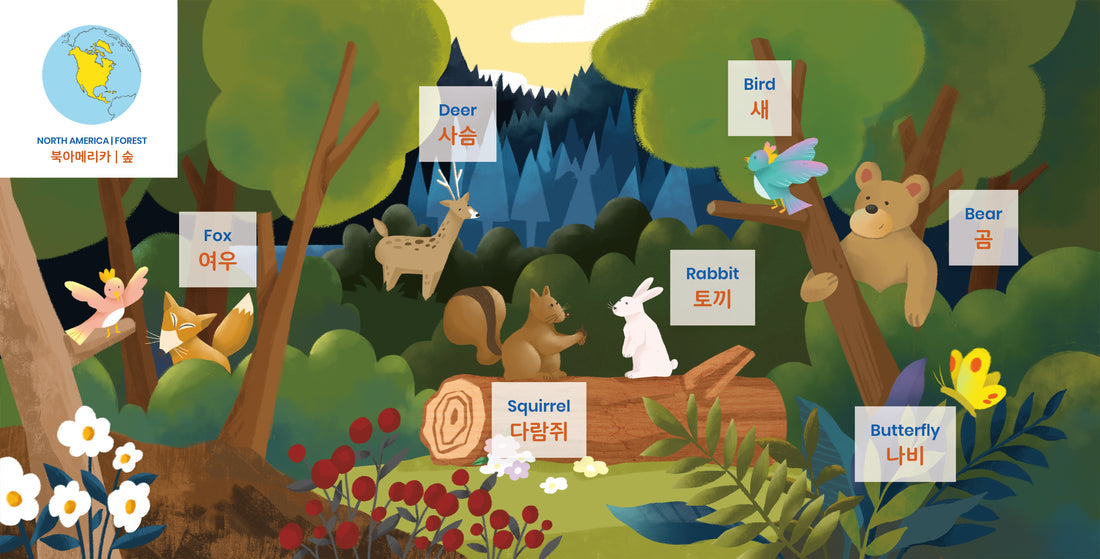 buying-habbi-habbi-bilingual-board-books-korean-discount_10.jpg